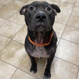 Photo for 154542 [Max]