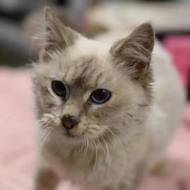 Photo for 154576 [378136]