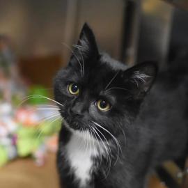 Photo for 154578 [378137]