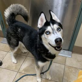 Photo for 154586 [378163]