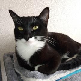 Photo for 154666 [Celly]