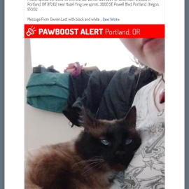 Photo for 154668 [Bern]