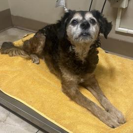 Photo for 154676 [Pablo]