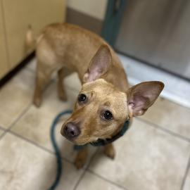 Photo for 154692 [378191]