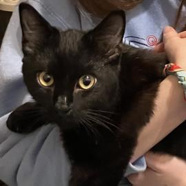 Photo for 154708 [fr154708]