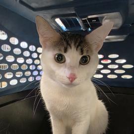 Photo for 154716 [378235]