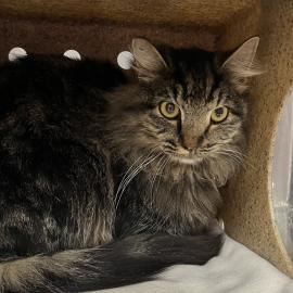 Photo for 154727 [378244]