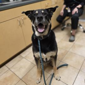 Photo for 154733 [378270]