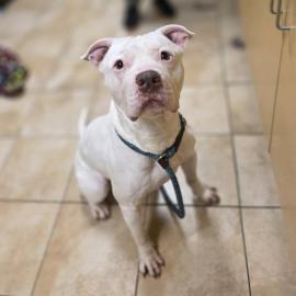 Photo for 154735 [378275]