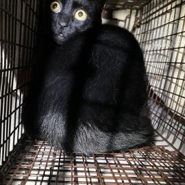 Photo for 154747 [378293]