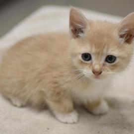 Photo for 154754 [378295]