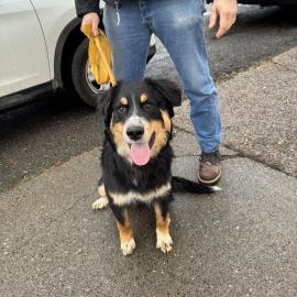 Photo for 154774 [Unknown]