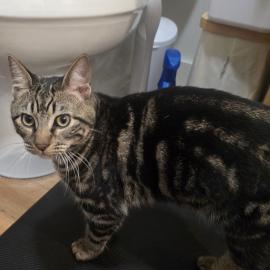 Photo for 154831 [fr154831]