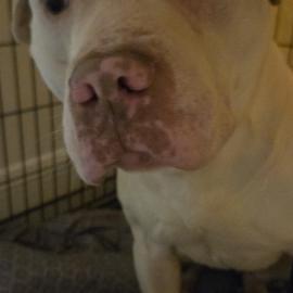 Photo for 154835 [fr154835]