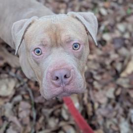 Photo for 154858 [Bubbles]