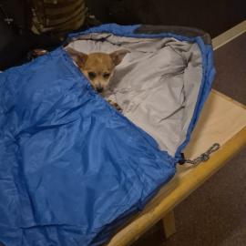 Photo for 154866 [Lunchbox]