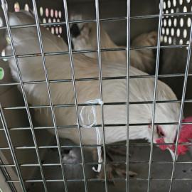 Photo for 154868 [378366]