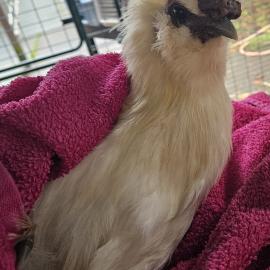 Photo for 154870 [378367]