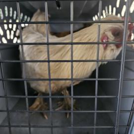 Photo for 154874 [378369]