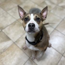 Photo for 154896 [378394]