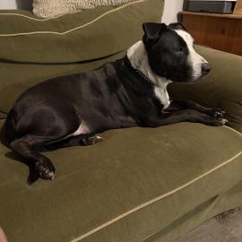 Photo for 154918 [fr154918]