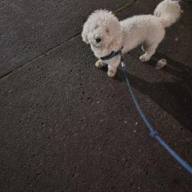 Photo for 154924 [Unknown]