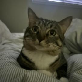 Photo for 154930 [Baby]