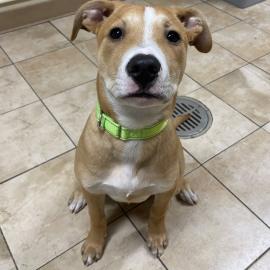 Photo for 154934 [378458]