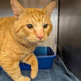 Photo for 154936 [378461]