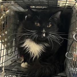 Photo for 154949 [378467]