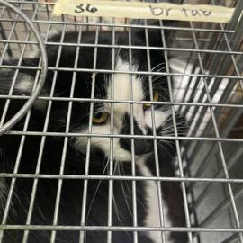 Photo for 154951 [378468]