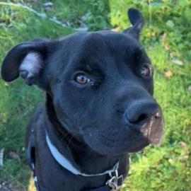 Photo for 155323 [379276]