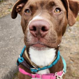 Photo for 155639 [379867]