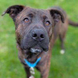 Photo for 155673 [Noah]