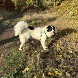 Photo for 155820 [Maeve]