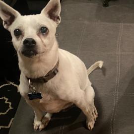 Photo for 155897 [Rowl]