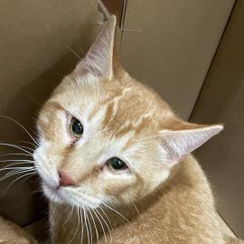 Photo for 155961 [380340]