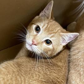 Photo for 155967 [380343]