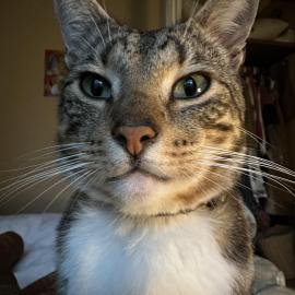 Photo for 155978 [Neo]