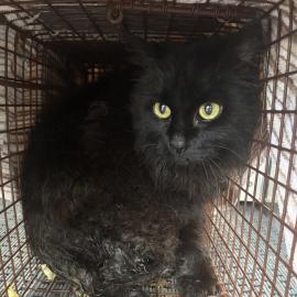 Photo for 155996 [380391]