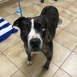 Photo for 156002 [380420]