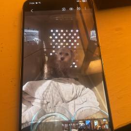 Photo for 156014 [fr156014]