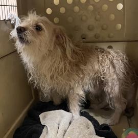 Photo for 156034 [380453]