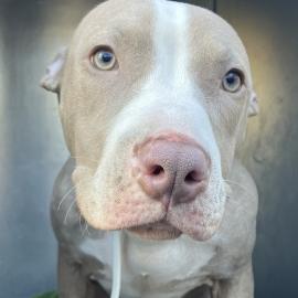 Photo for 156036 [380452]