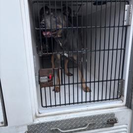 Photo for 156075 [380476]