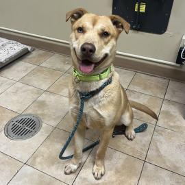 Photo for 156081 [380478]