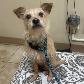 Photo for 156087 [380481]