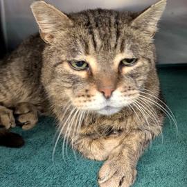 Photo for 156103 [380492]