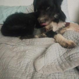 Photo for 156107 [Baby girl]