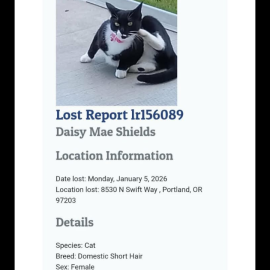 Photo for 156113 [Daisy Shields ]